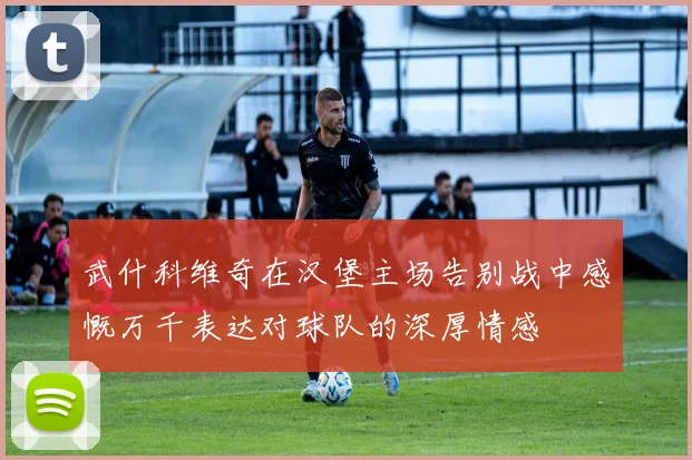 武什科维奇在汉堡主场告别战中感慨万千表达对球队的深厚情感