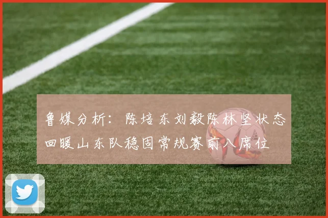 鲁媒分析：陈培东刘毅陈林坚状态回暖山东队稳固常规赛前八席位